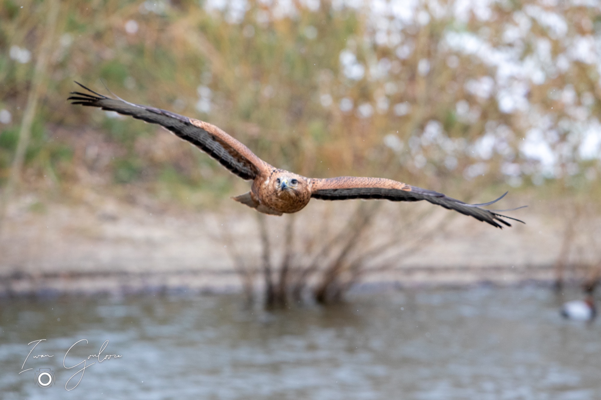 01 april 2022 120026 1DX47254